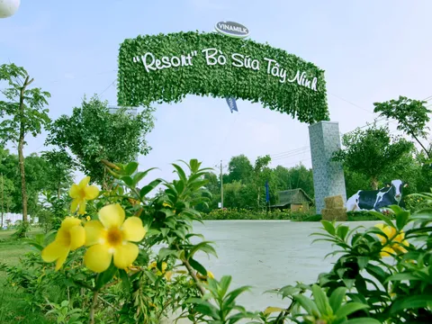 Vinamilk xây dựng “vòng tuần hoàn xanh” cho hệ thống trang trại bò sữa