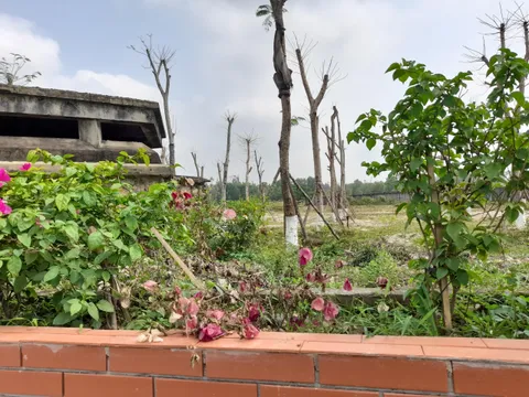 Thấy gì từ dự án chỉnh trang bộ mặt phía Nam thành phố Huế?