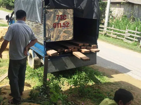 Quảng Bình: 3 kiểm lâm bị thương khi vây bắt ‘lâm tặc’