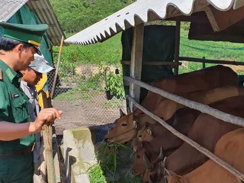 Biên cương thoát nghèo nhờ người lính mang quân hàm xanh