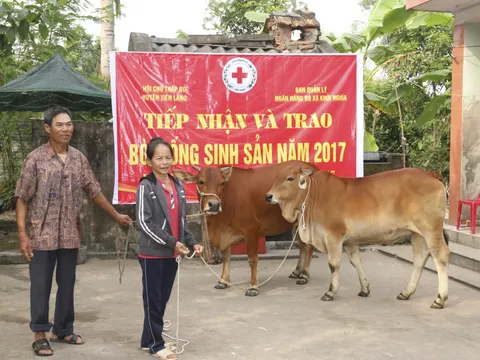 Hải Phòng - lan tỏa hiệu quả dự án Ngân hàng bò tại huyện Tiên Lãng