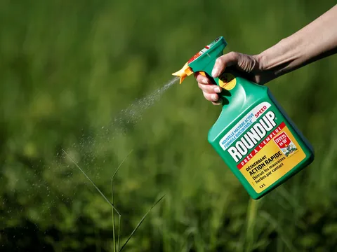 Đang xem xét loại bỏ sản phẩm có hoạt chất glyphosate của Monsanto