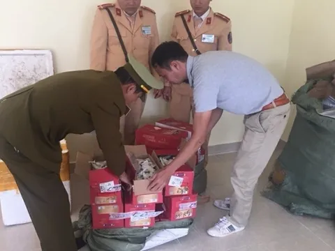 Quảng Ninh: Bắt giữ lô 'hàng hóa lạ' nhập từ Trung Quốc