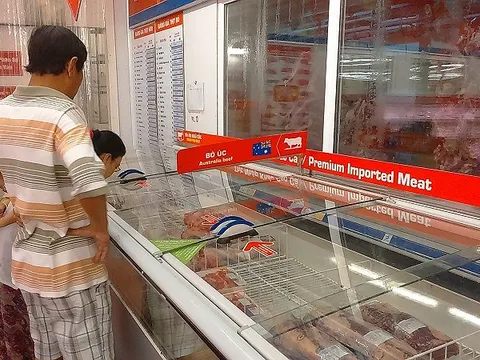 "Vén màn bí mật" heo nái bỗng biến thành bò siêu rẻ