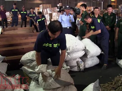 Thu giữ hơn 7 tấn nghi là vảy tê tê