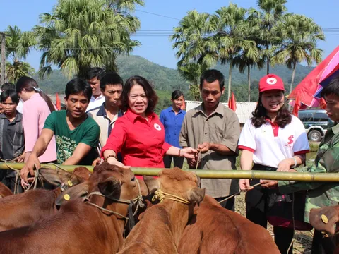 Phát huy trách nhiệm xã hội và viện trợ nhân đạo của các tổ chức, doanh nghiệp