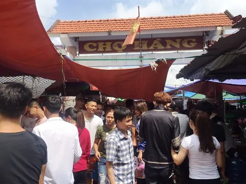Hải Phòng: Kiểm soát chợ Hàng phòng chống buôn bán động vật hoang dã