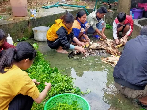 Hà Tĩnh: 500 suất cơm được trao tận tay người dân vùng lũ