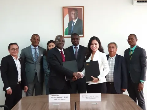 T&T Group tham gia khắc phục câu chuyện 'được mùa mất giá'