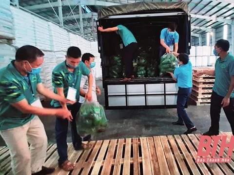 Nghĩa tình sắt son của đồng bào xa xứ