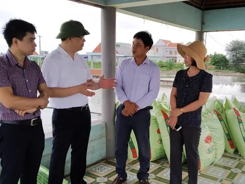 Dịch Covid: Không trông chờ, ỉ lại vào giải cứu nông sản