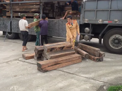 Bắt xe tải chở gỗ lậu