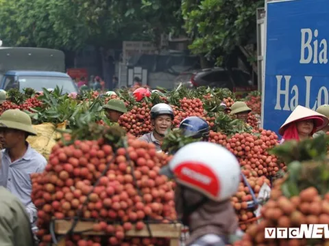 Ảnh: Người dân Bắc Giang xếp hàng cả tiếng đồng hồ chờ cân vải