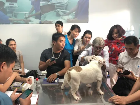 Viện Thú y thúc đẩy hợp tác đào tạo và tập huấn ngành nghề