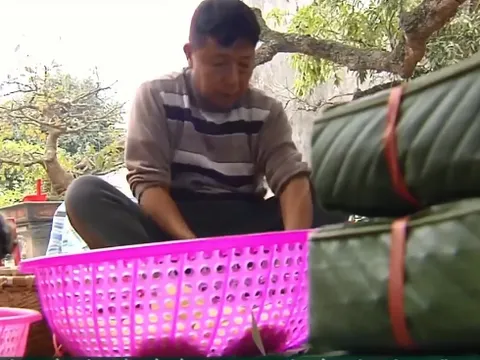 Làng bánh chưng trăm năm tuổi tất bật vào vụ Tết