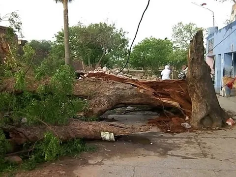 Bão cát quét qua miền Bắc Ấn Độ, 77 người thiệt mạng