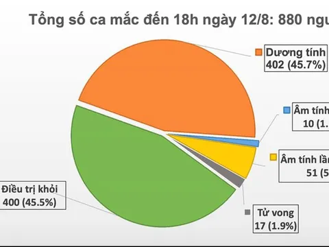 Thêm 14 ca mắc Covid-19, Việt Nam có tổng cộng 880 ca bệnh