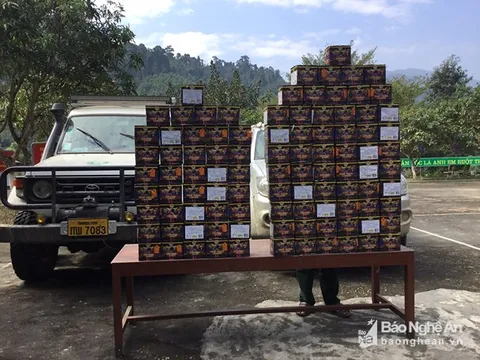 Bắt vụ vận chuyển 120kg pháo nổ từ biên giới vào Việt Nam