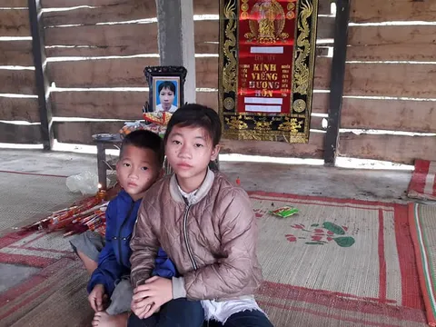 Bố mất, mẹ đi biền biệt, 2 chị em nghỉ học hái rau rừng về ăn