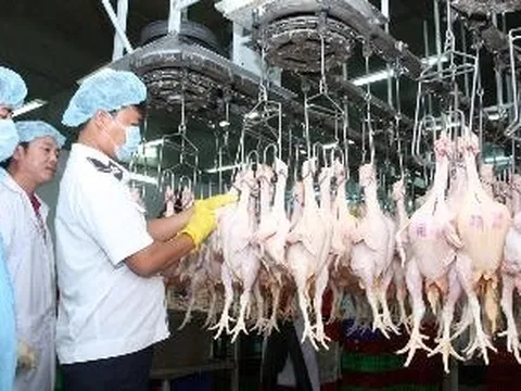 Bộ Tài chính đề xuất giảm nhiều loại phí cho doanh nghiệp