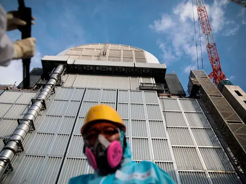 Bộ Tư pháp Nhật phản hồi tin tu nghiệp sinh Việt phải dọn phóng xạ