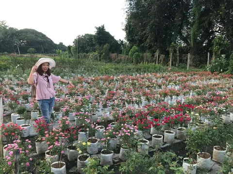 Bỏ việc lương cao, 9x kiếm trăm triệu nhờ kinh doanh hồng ngoại