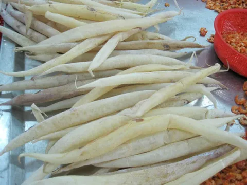 Bong bóng cá chục triệu đồng/kg, có loại 1 tỷ đồng/kg chỉ bán cho nhà giàu Việt