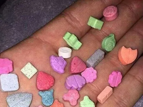 C47 nói về ma túy "quả dâu tây" vào học đường