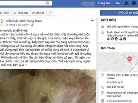 Tung tin sai về dịch tả lợn châu Phi, chủ tài khoản Facebook bị phạt 20 triệu đồng