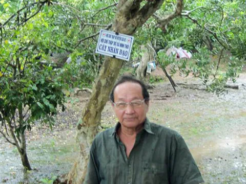 Mô hình Cây nhân đạo