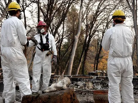 84 người chết, 563 người mất tích trong vụ cháy rừng tại California