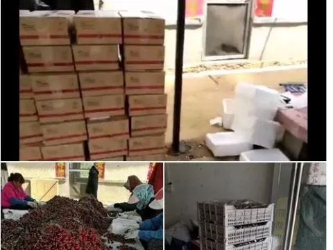 Cherry Trung Quốc giá rẻ bán công khai 120.000 đồng/kg