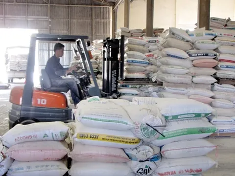 Chi gần 900 triệu USD nhập thức ăn chăn nuôi