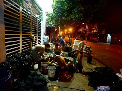 Chợ cua "âm phủ" có tuổi đời gần nửa thế kỷ ở Sài Gòn