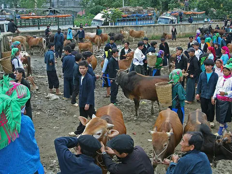 Chợ phiên độc đáo ở vùng cao hút khách du lịch