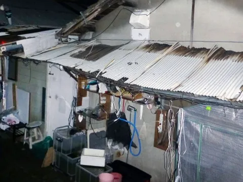 Cô gái Nhật chết cóng vì bị cha mẹ nhốt trong phòng 3 m2