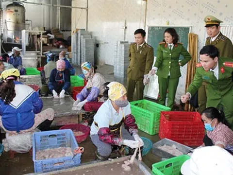 Thanh Hóa: Thu giữ hơn 4 tấn nội tạng bẩn