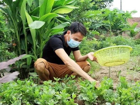 Cổ tích về tình người sau những ca ghép thận “0 đồng“