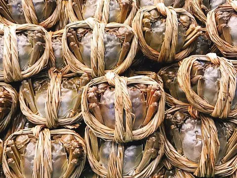 Con cua lông 2 lạng giá gần 1 triệu đồng: Chị em thòm thèm xót ruột