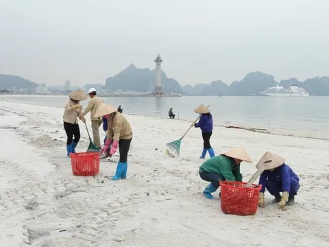 Ai đã trả lại tên cho thành phố biển không bãi tắm?