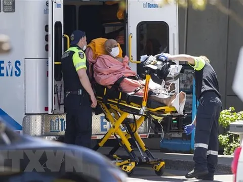 Thế giới đã có hơn 11,5 triệu ca mắc Covid-19