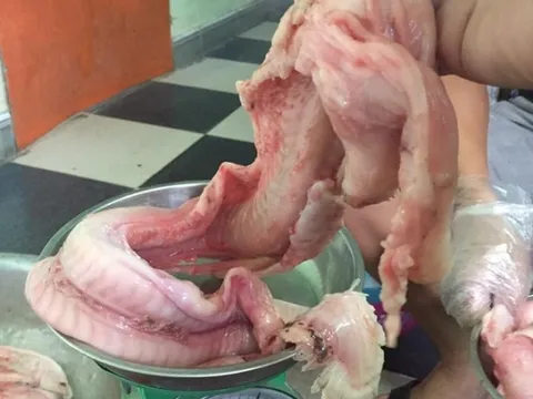 Đặc sản Hàn Quốc sâu dưới đáy biển, dân Việt thi nhau lùng mua