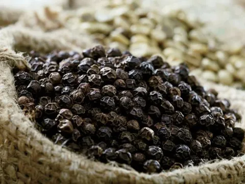 Nông dân Việt rớt nước mắt trên mỏ 'vàng đen' số 1 thế giới