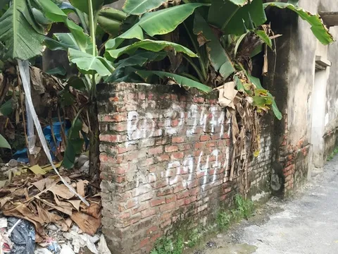 Đất thổ cư phía Đông Hà Nội "lên cơn sốt" sau tin xây 4 cây cầu
