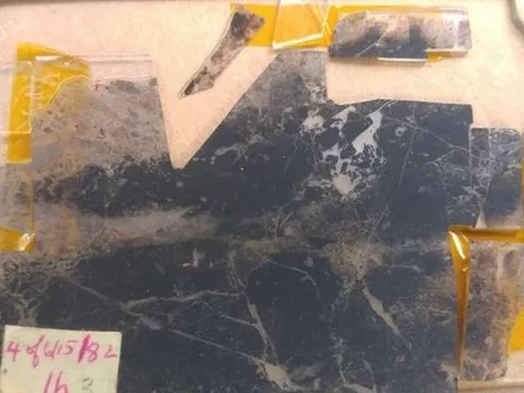 Dấu hiệu sự sống 3,5 tỷ năm trong hóa thạch nhỏ hơn sợi tóc