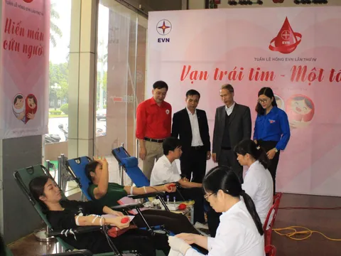 Ninh Bình tiếp nhận gần 400 đơn vị máu phục vụ dịp Tết