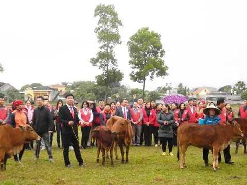 Tặng 10 con bò sinh sản và 200 túi quà Tết