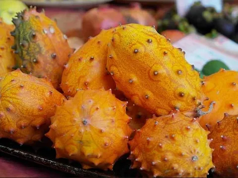 Dưa chuột 400 ngàn đồng/quả: Ăn giải nhiệt, xót cả ruột