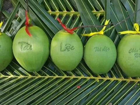 Dừa hồ lô, bánh tét chưng Tết hơn nửa triệu đồng mỗi trái