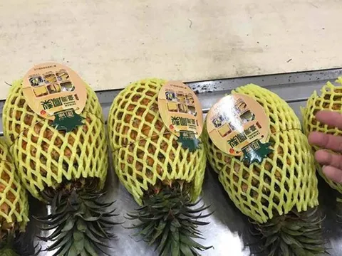 Dứa nhập khẩu 300.000 đồng một trái, dứa trong nước 3.000 đồng một kg